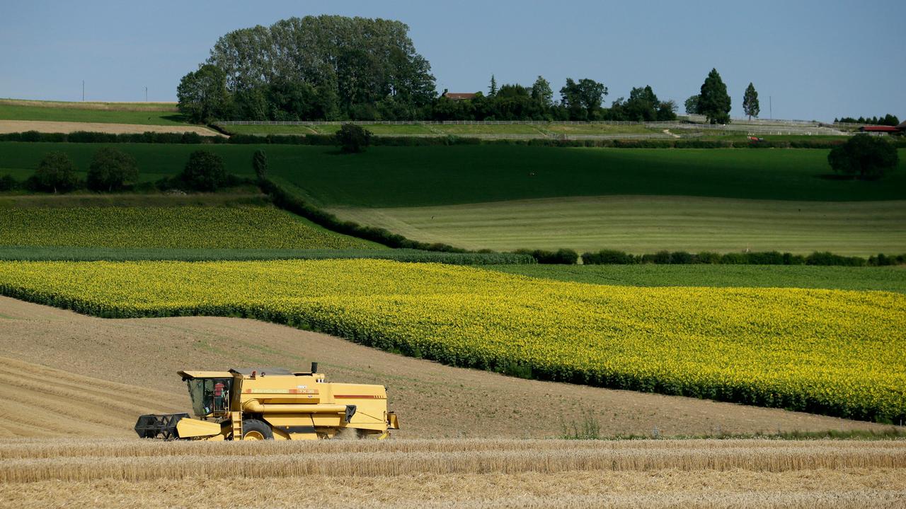 Une moissoneuse-batteuse dans un champ près de Sullens (VD). [Reuters - Denis Balibouse]