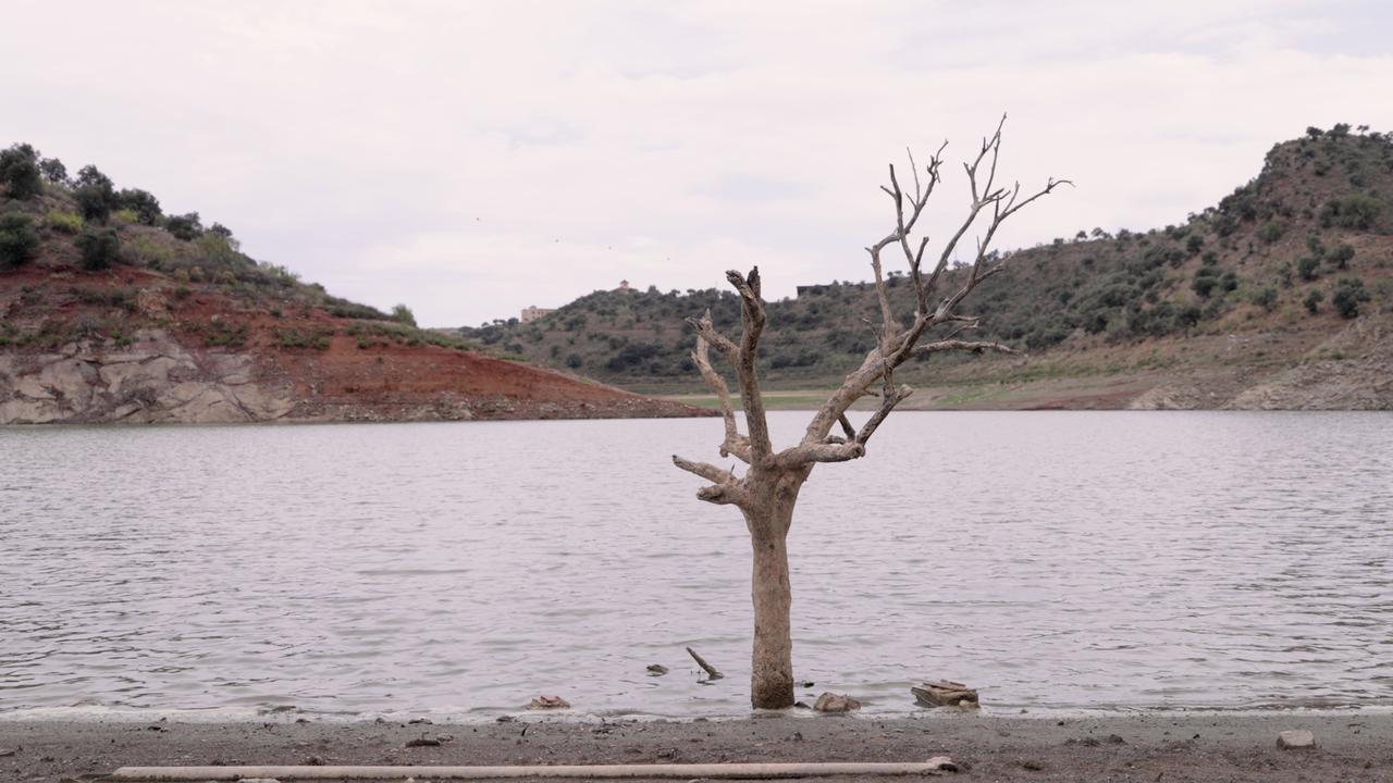 Le barrage d'Almogia près de Malaga. [afp]