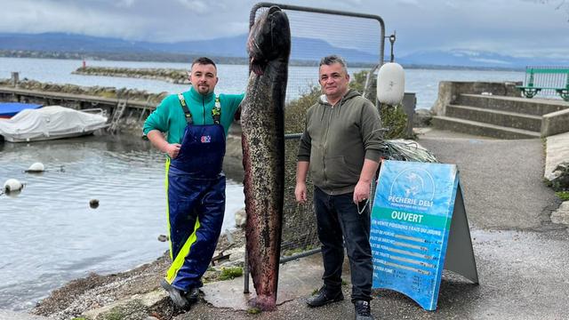 Le pêcheur nyonnais Jetmir Osmankaq (à gauche) pose à côté de sa prise, un silure de 2,17 mètres de long et pesant 56 kilos. [DR]