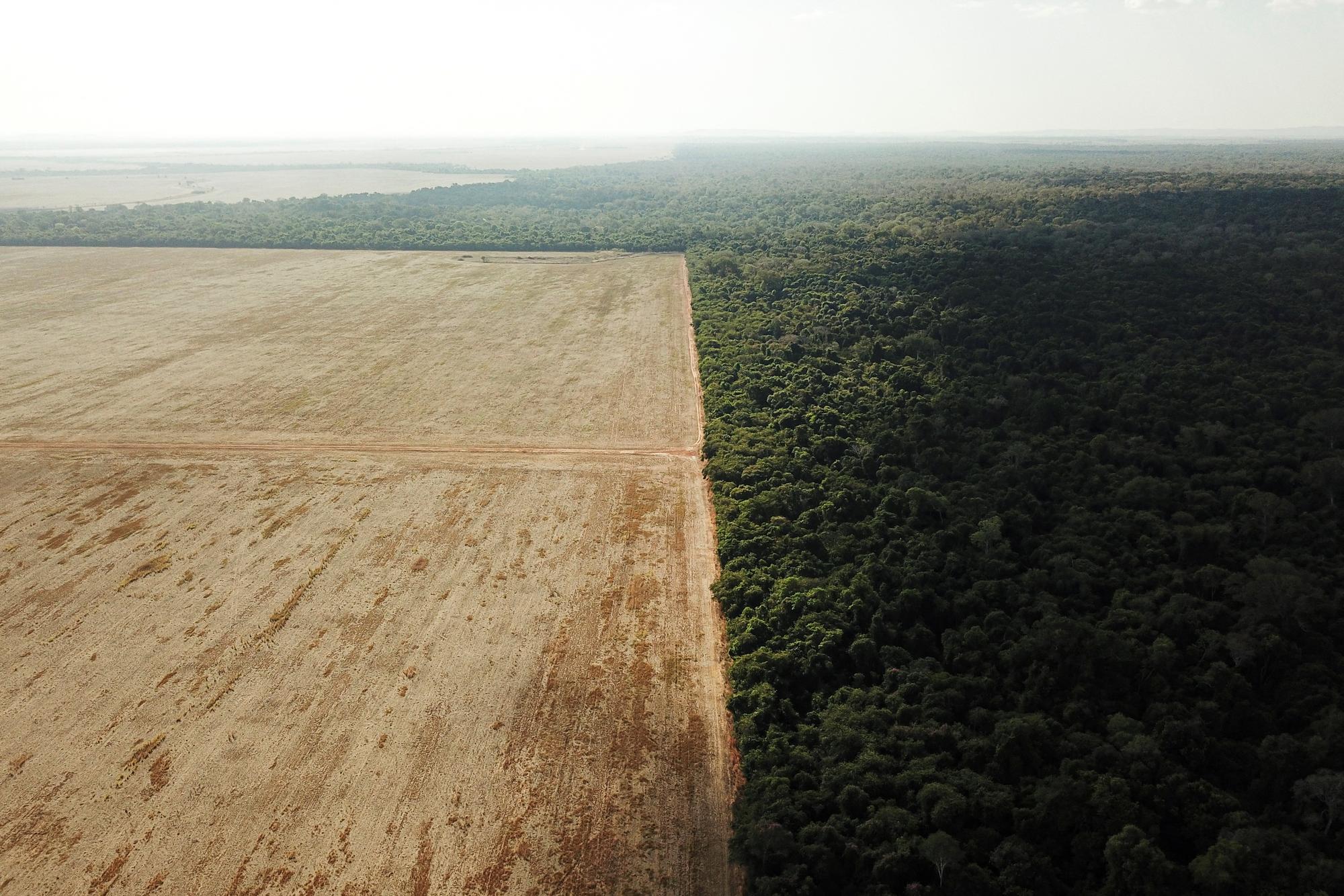 Une vue prise au drone montre la déforestation à la frontière entre l'Amazonie et Cerrado in Nova Xavantina, dans l'Etat du Mato Grosso, au Brésil, le 28 juillet 2021. [Reuters - Amanda Perobelli]