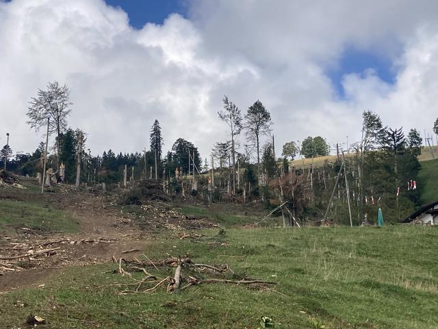 Les promeneurs et promeneuses ont été avertis: le paysage sera différent lors des futures balades en forêt, les bois à terre ou les troncs brisés n'étant pas tous évacués après la tempête de La Chaux-de-Fonds. [RTS - Deborah Sohlbank]