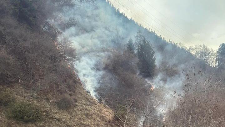 Un incendie de forêt s'est déclenché près de la télécabine reliant Verbier au Châble. [David Santos]