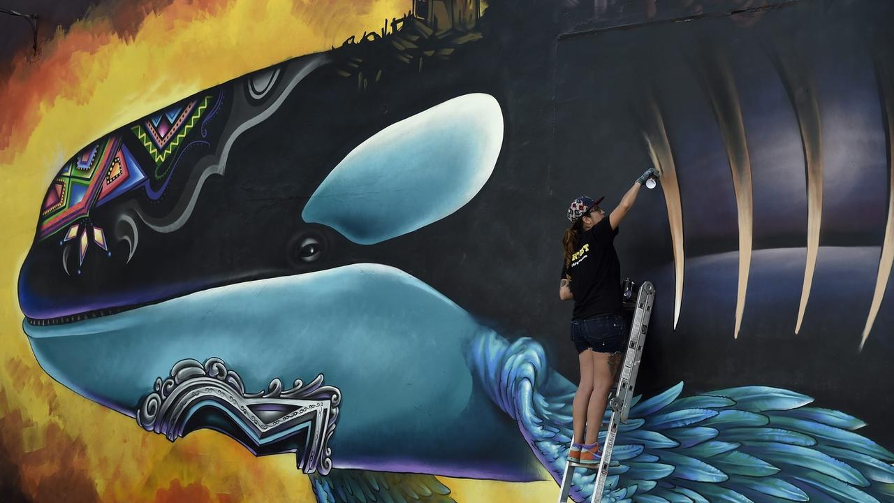 Une artiste finalise un graffiti géant représentant Lolita, l'orque de l'aquarium de Miami, pour la libération de laquelle une association s'est fortement mobilisée. [EPA/Keystone - Rhona Wise]