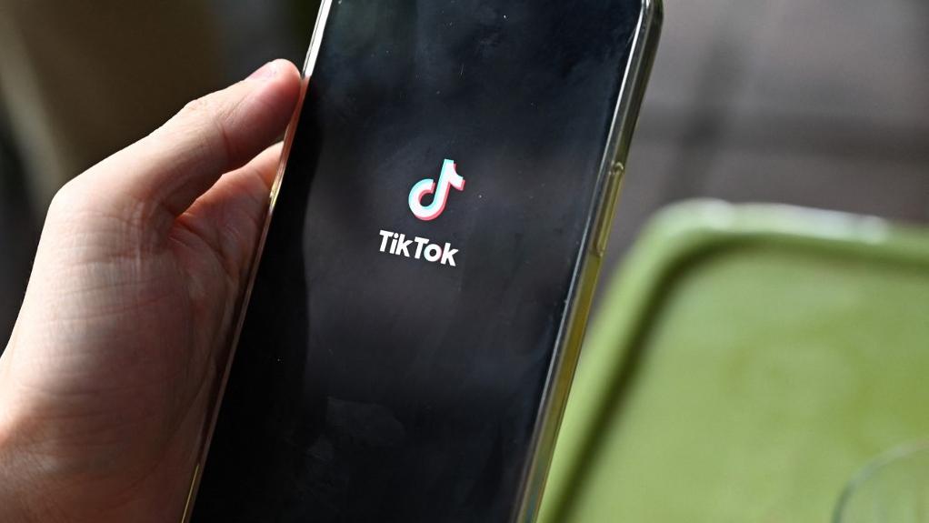 TikTok a annoncé avoir supprimé plus de 500'000 vidéos et fermé 8000 diffusions en direct liées au conflit Israël-Hamas. [AFP - Nhac Nguyen]