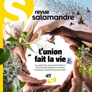 Le n° 275 de la revue "La Salamandre" qui fête également ses 40 ans d'existence. [DR - La salamandre.org]