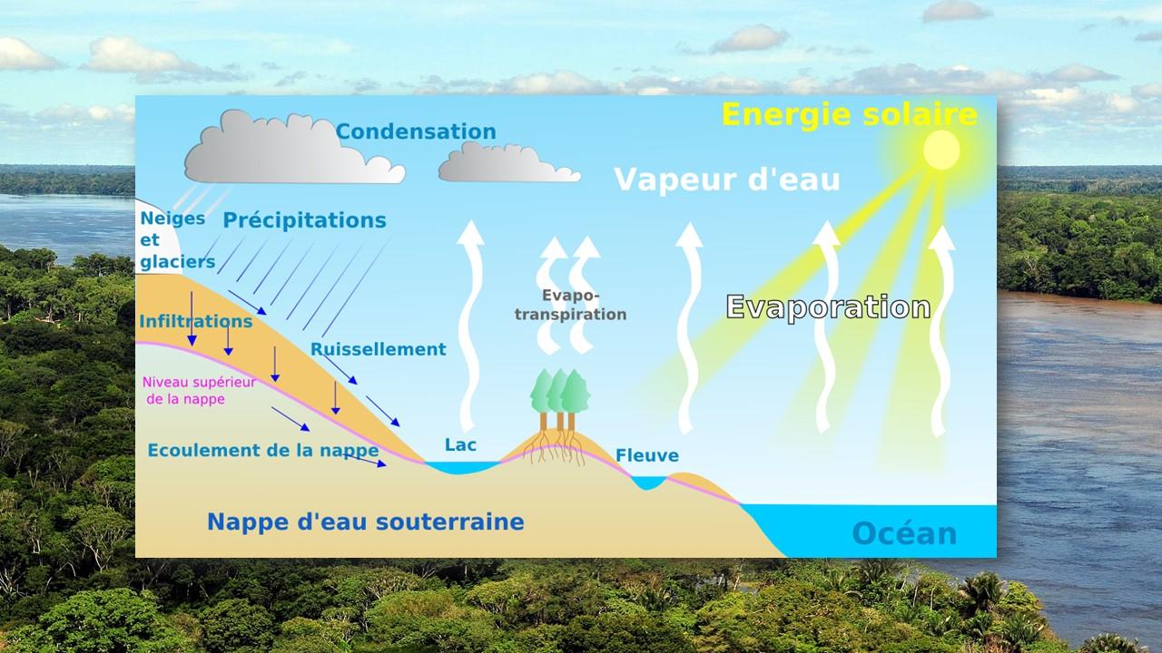 Cycle de l'eau [Wikipedia - Neil Palmer]