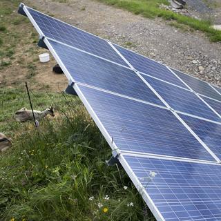 Une étude hollandaise révèle que l'installation de panneaux solaires dans les pâturages pourrait profiter aux animaux tels que les moutons et les chèvres. [Keystone - Gaetan Bally]