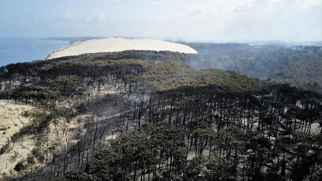 Une forêt brûlée après les incendies près de la dune du Pilat dans la région française de Gironde. [Keystone/EPA - SDIS 33]