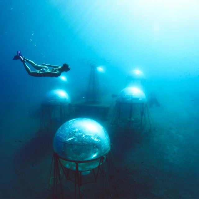 Les serres sous-marines d'agriculture hydroponique du Jardin de Nemo, au large de Noli, dans le Golfe de Gênes, en Italie. [Ocean Reef - Nemo's Garden]