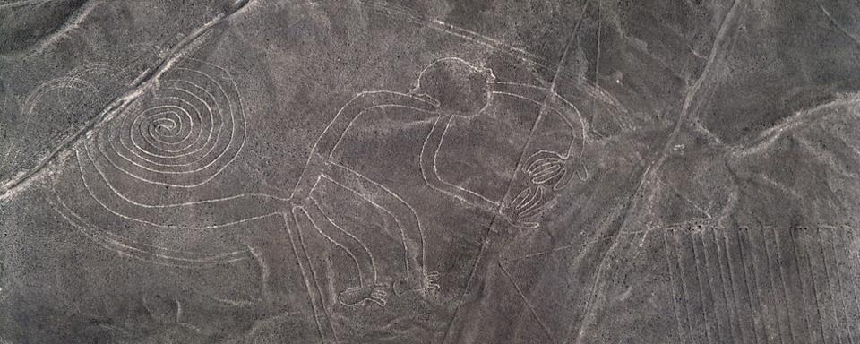 Les géoglyphes de Nazca. [AFP - ©Luisa Ricciarini/Leemage]