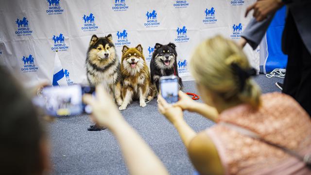 Des participants photographient leurs chiens lors du "World Dog Show 2023" à Genève, en Suisse, le samedi 26 août 2023. [Keystone - Valentin Flauraud]