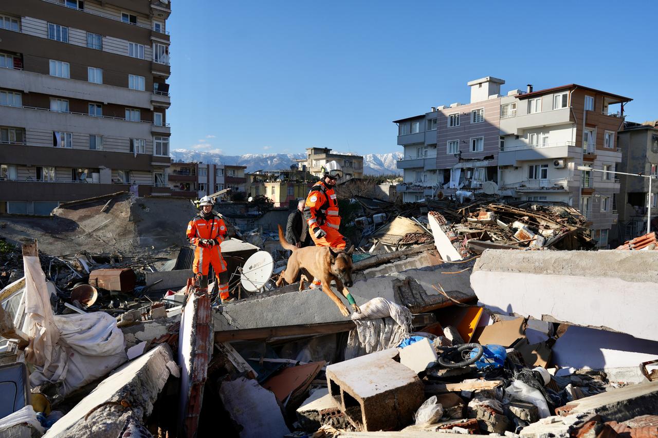 Des chiens sauveteurs de Redog sont aussi engagés sur le terrain à Hatay. [Keystone - Michael Fichter]