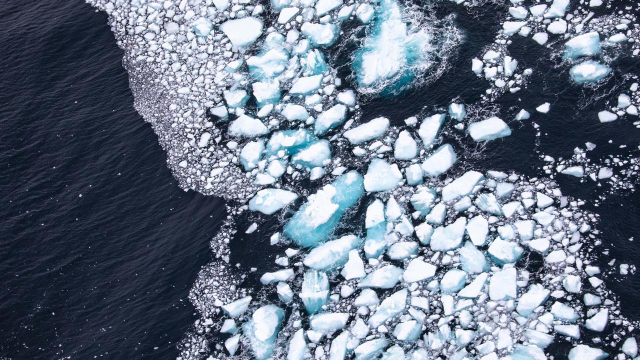 La glace de l'Antarctique n'a jamais autant fondu qu'en février [EPA - Phil Dye]
