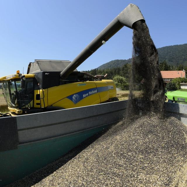 Un agriculteur moissonne un champ de colza, le lundi 5 août 2013 à Baulmes (VD). [KEYSTONE - Laurent Gillieron]