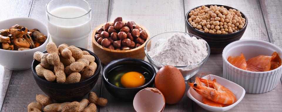 Composition avec des allergènes alimentaires communs, y compris l'oeuf, le lait, le soja, les arachides, les noisettes, le poisson, les fruits de mer et la farine de blé. [Depositphotos - ©Monticello]