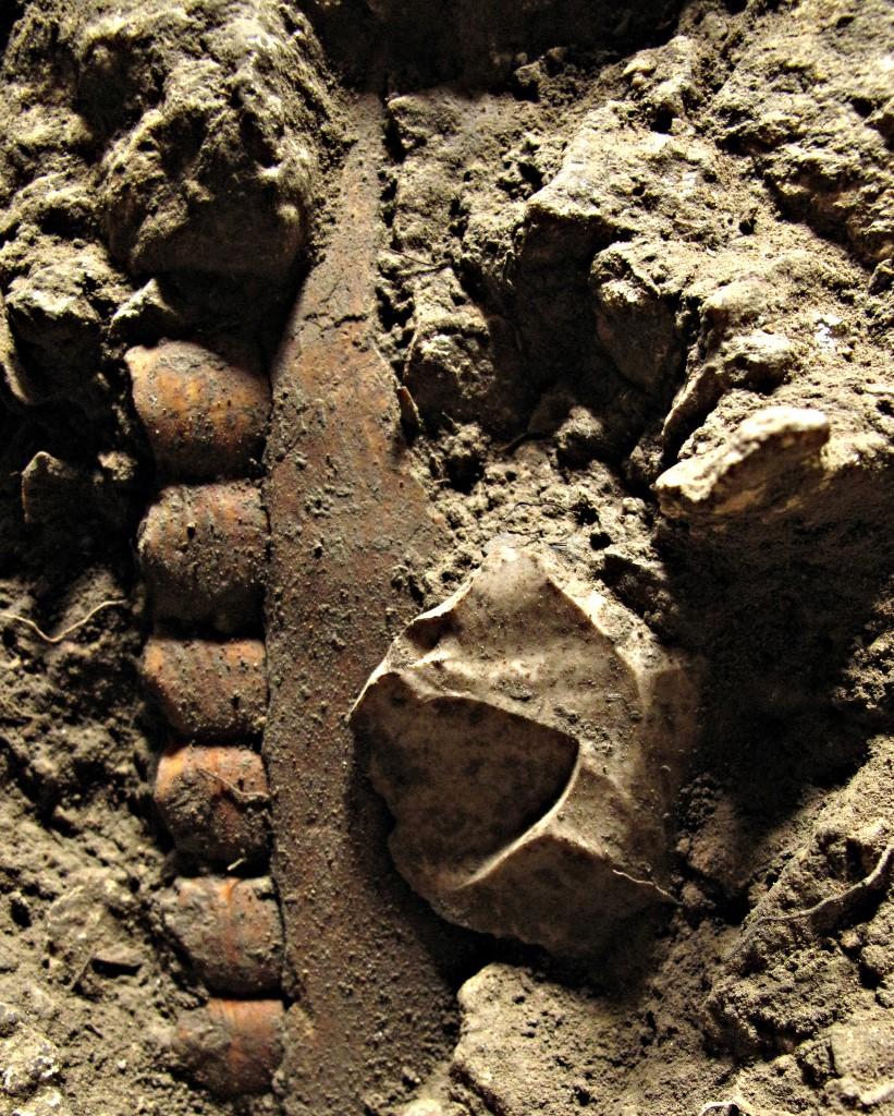 Une mandibule de cheval et une pointe néronienne dans la couche archéologique E (néronien) de la Grotte Mandrin. [AFP - Ludovic Slimak/Eurekalert!]