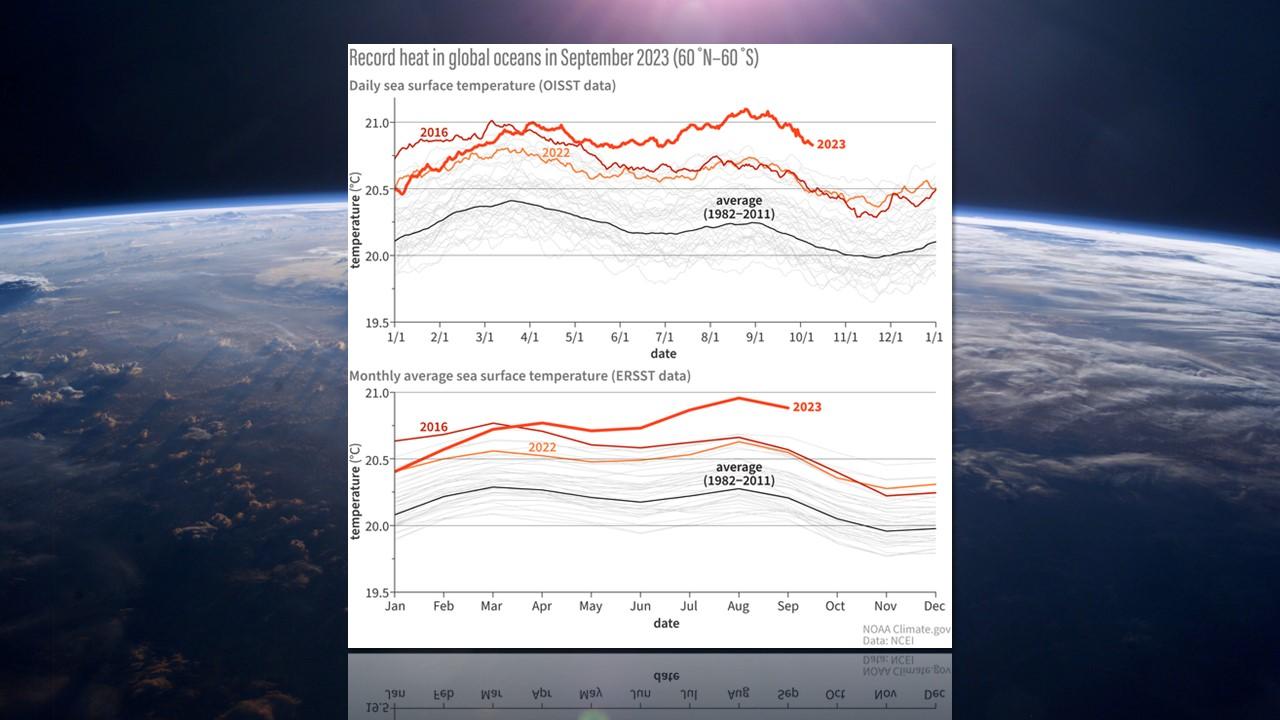 Evolution de la température moyenne mondiale des océans depuis le début de l'année. [NASA/NOAA]