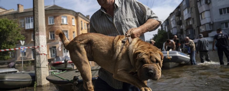 Un habitant sauve son chien de la montée de l'eau après l'explosion du barrage de Kakhovka. [AP Photo - Keystone - Evgeniy Maloletka]