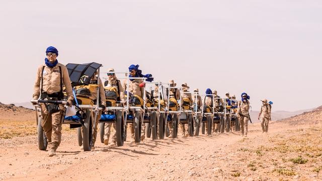 Dans le désert, chaque climatonaute tire un chariot sur lequel il y a notamment sa réserve d'eau pour la journée: huit litres en tout et pour tout. Réserve naturelle du roi Salman bin Abdulaziz, Arabie Saoudite, mai 2023. [Human Adaptation Institute - Lucas Santucci]