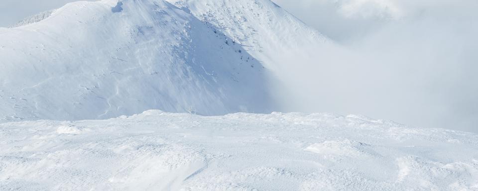 Mieux comprendre les chutes de neige. [depositphotos - IgorPylBO]