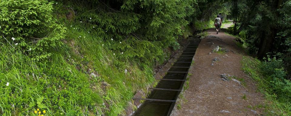 Le bisse du Milieu dans la région de Nendaz. [Keystone - Jean-Christophe Bott]