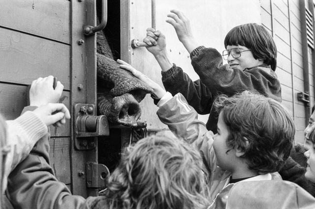 La joie des enfants à l'arrivée du convoi à Zurich, 24.04.1980. [Keystone - STR]