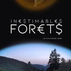 L'affiche du film "Inestimables forêts" de Orane Burri. [Oraneburri.com - Orane Burri]