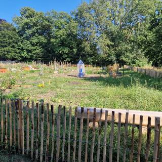 Les Jardins potagers de Bourgogne à Nyon (VD). [RTS - Huma Khamis]