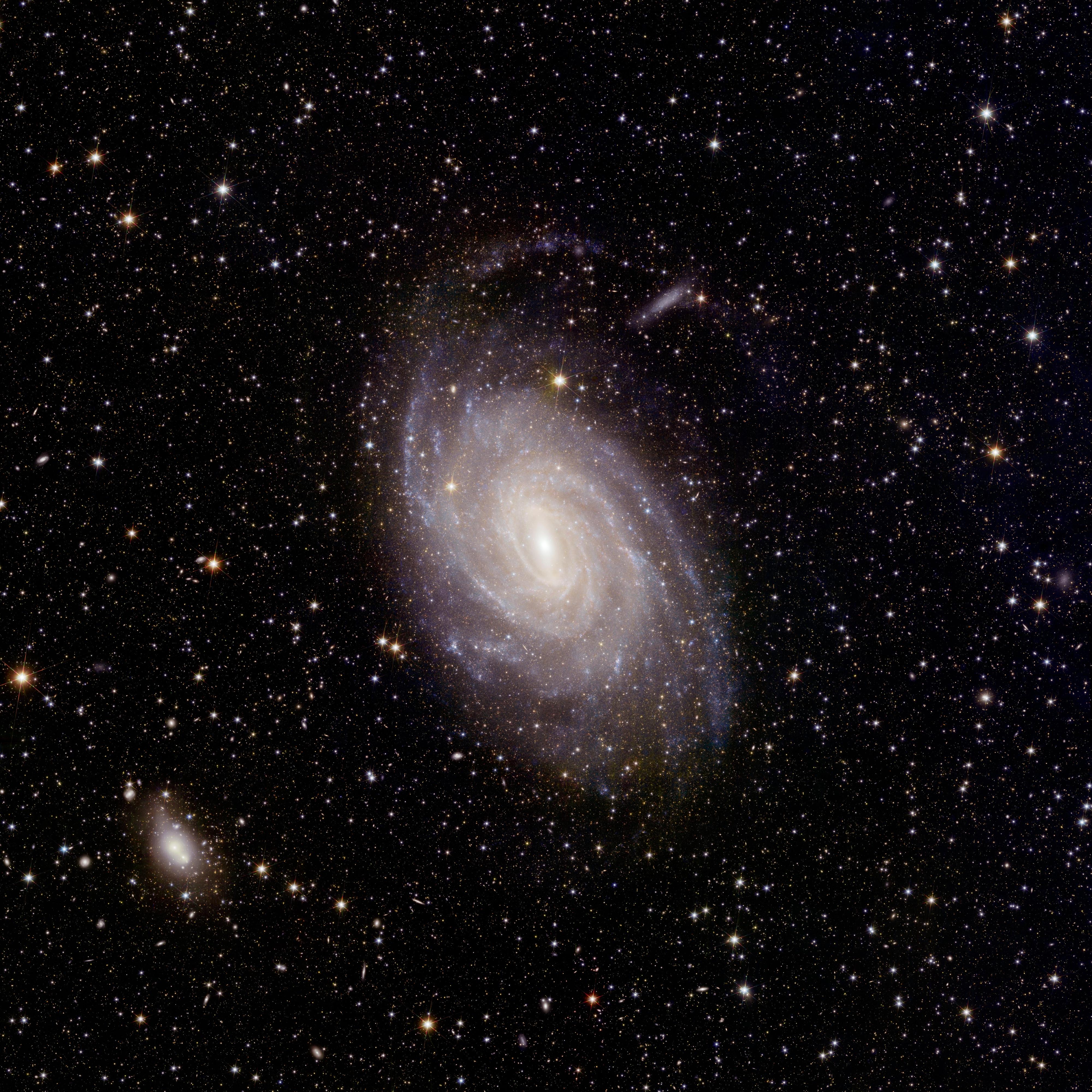 Le grand champ de vision d'Euclid couvre l'ensemble de la galaxie NGC 6744, capturant non seulement sa structure spirale à grande échelle, mais aussi de délicats détails à petite échelle spatiale, comme des couloirs de poussière ressemblant à des plumes émergeant des bras spiraux. [ESA/Euclid/Euclid Consortium/NASA - image processing by J.-C. Cuillandre (CEA Paris-Saclay), G. Anselmi; CC BY-SA 3.0 IGO]