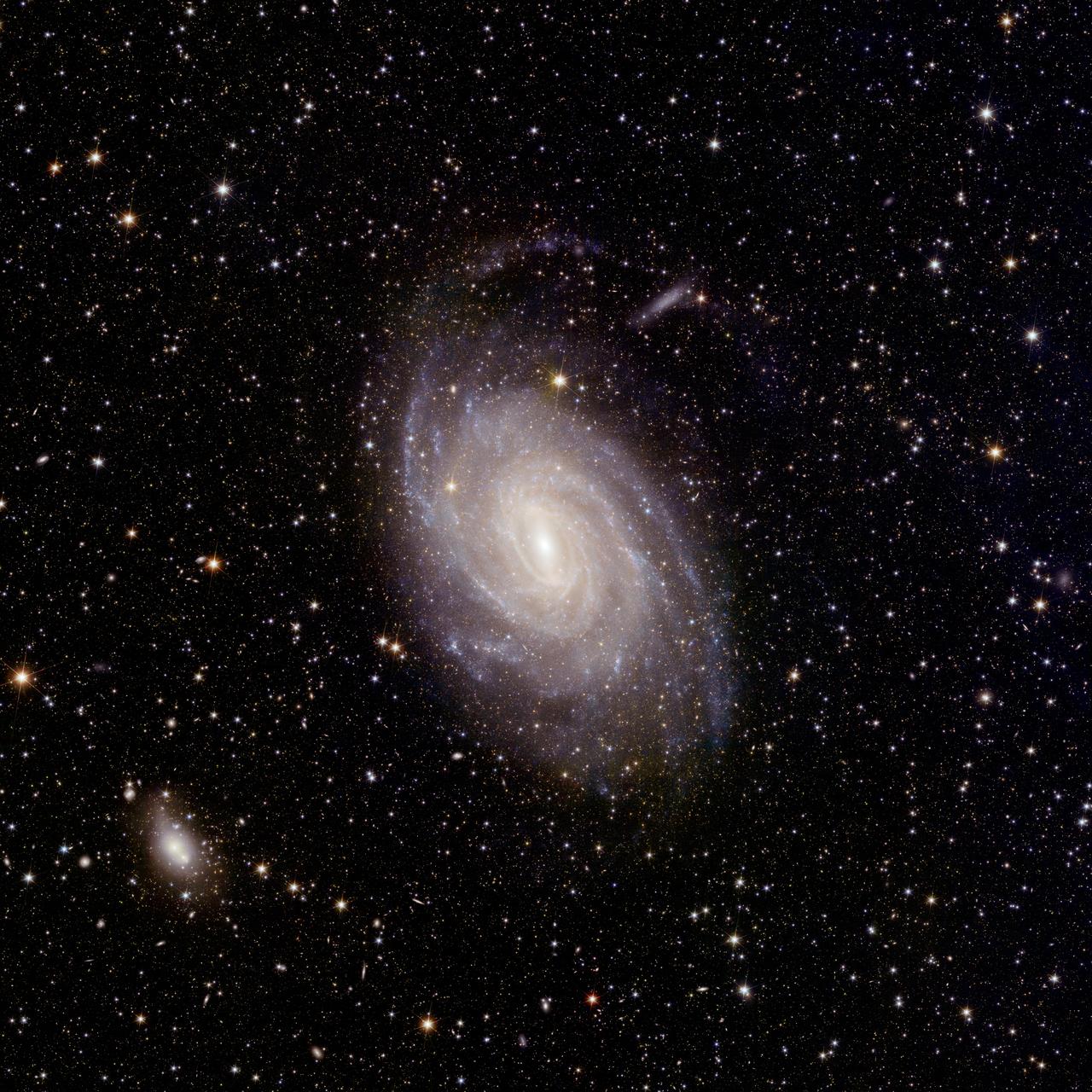 Le grand champ de vision d'Euclid couvre l'ensemble de la galaxie NGC 6744, capturant non seulement sa structure spirale à grande échelle, mais aussi de délicats détails à petite échelle spatiale, comme des couloirs de poussière ressemblant à des plumes émergeant des bras spiraux. [ESA/Euclid/Euclid Consortium/NASA - image processing by J.-C. Cuillandre (CEA Paris-Saclay), G. Anselmi; CC BY-SA 3.0 IGO]