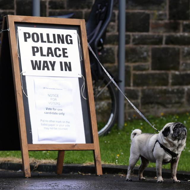 Un chien attend devant le bureau de vote de Pollokshields Burgh Halls pendant les élections générales de 2024, à Glasgow, en Écosse, le jeudi 4 juillet 2024. [AP Photo - Keystone - Andrew Milligan]