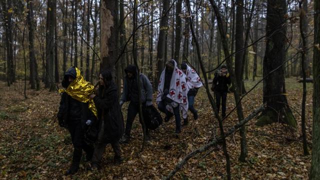 La Pologne autorise ses militaires de tirer à vue sur les migrants venant de Biélorussie. [AFP - Wojtek Radwanski]