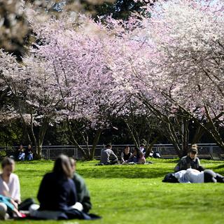 Des personnes se reposant au Parc de Mon Repos, Lausanne. [Keystone - Laurent Gillieron]