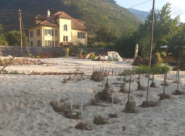 Les jardins sont encore remplis de déchets 5 mois après les inondations qui ont touché le quartier Sous-Géronde à Sierre. [DR]