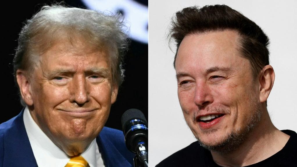 S'il est élu, Donald Trump veut qu'Elon Musk pilote des réformes de l'administration américaine. [afp]