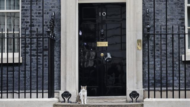 Larry, le chat de 10 Downing Street, se prépare à accueillir un nouveau colocataire. [Keystone - Tolga Akmen - EPA]