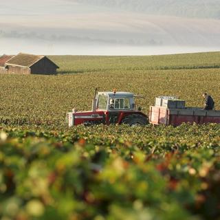 Le nouveau projet de loi pour les agriculteurs français mise sur la simplification. [Keystone - EPA/Helem]