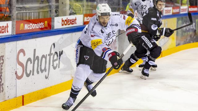 Julien Sprunger sera Fribourgeois pour une 23e saison. [Pascal Muller/freshfocus - Pascal Muller/freshfocus]