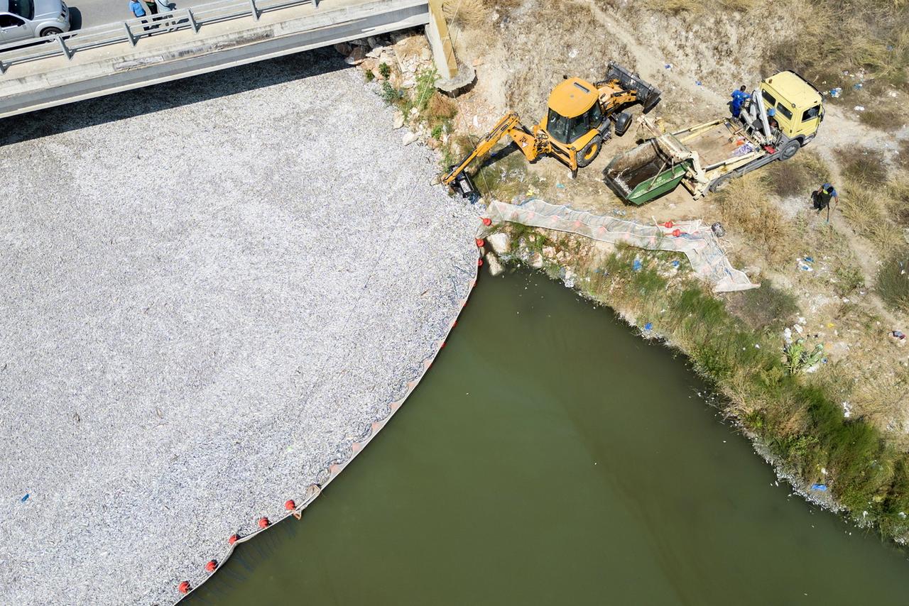 Des équipes du port de Volos ramassant les poissons morts dans le filet de protection à l'embouchure du ruisseau Xiria le 28 août 2024. [KEYSTONE - HATZIPOLITIS NICOLAOS]