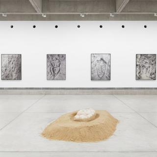 Vue de l'exposition « Aux commencements » d’Ana Mendieta. [Musée des beaux-arts La Chaux-de-Fonds - The Estate of Ana Mendieta Collection, LLC (2024) - Gaspard Gigon]