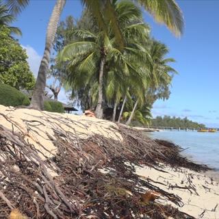 Archipel des Tuamotu: la Polynésie française est touchée de plein fouet par l'érosion, et voit ses côtes reculer peu à peu. Les habitants de ces îles océaniennes le savent: ils seront, sans doute, les premiers réfugiés climatiques français, une perspective à l'horizon 2050. [RTS - Laure Philiber]