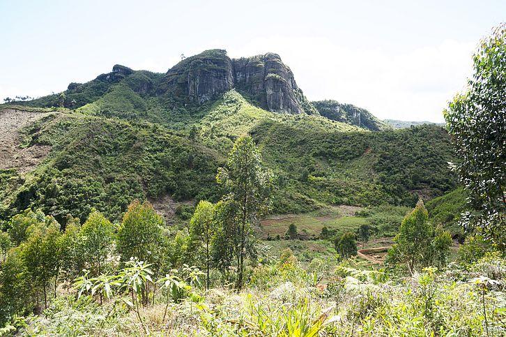 Les montagnes escarpées de l'est de Madagascar font obstacle aux précipitations et circonscrivent l'habitat humide des forêts tropicales. Alaotra-Mangoro, Madagascar. [WSL/SLF - Sean Willett]