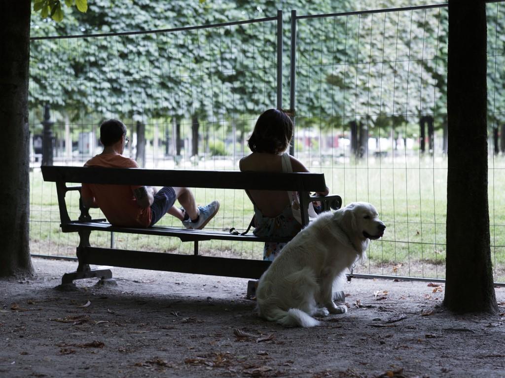 Des Parisiens regardent un parc à travers un grillage. [Hans Lucas via AFP - NICOLAS RONGIER]