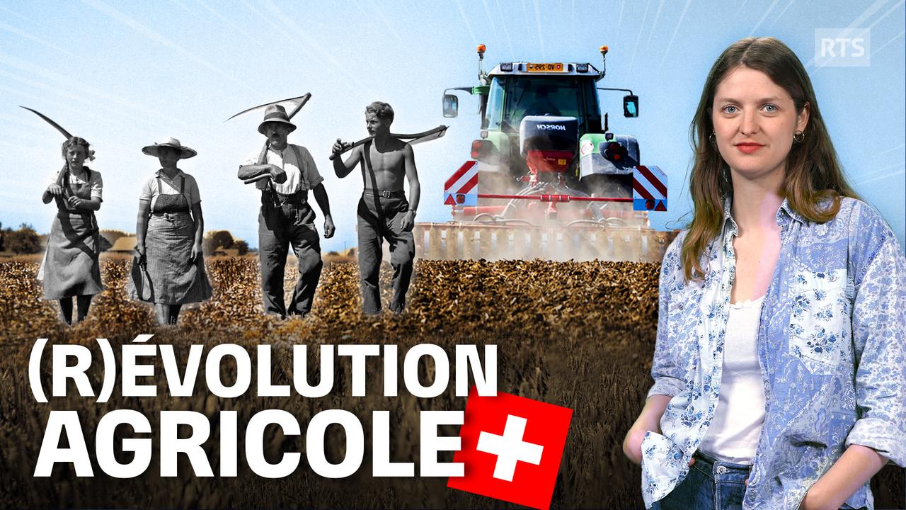 Comment l'agriculture suisse est devenue intensive