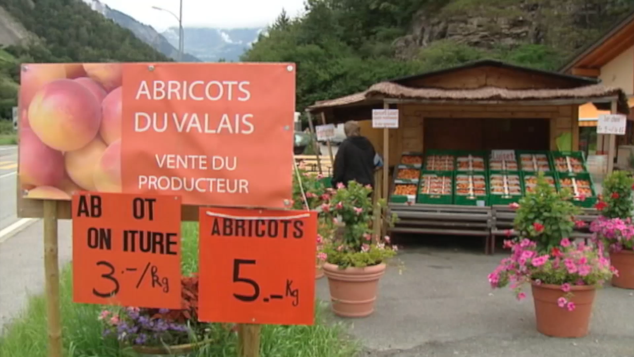 A bon entendeur teste les abricots valaisans