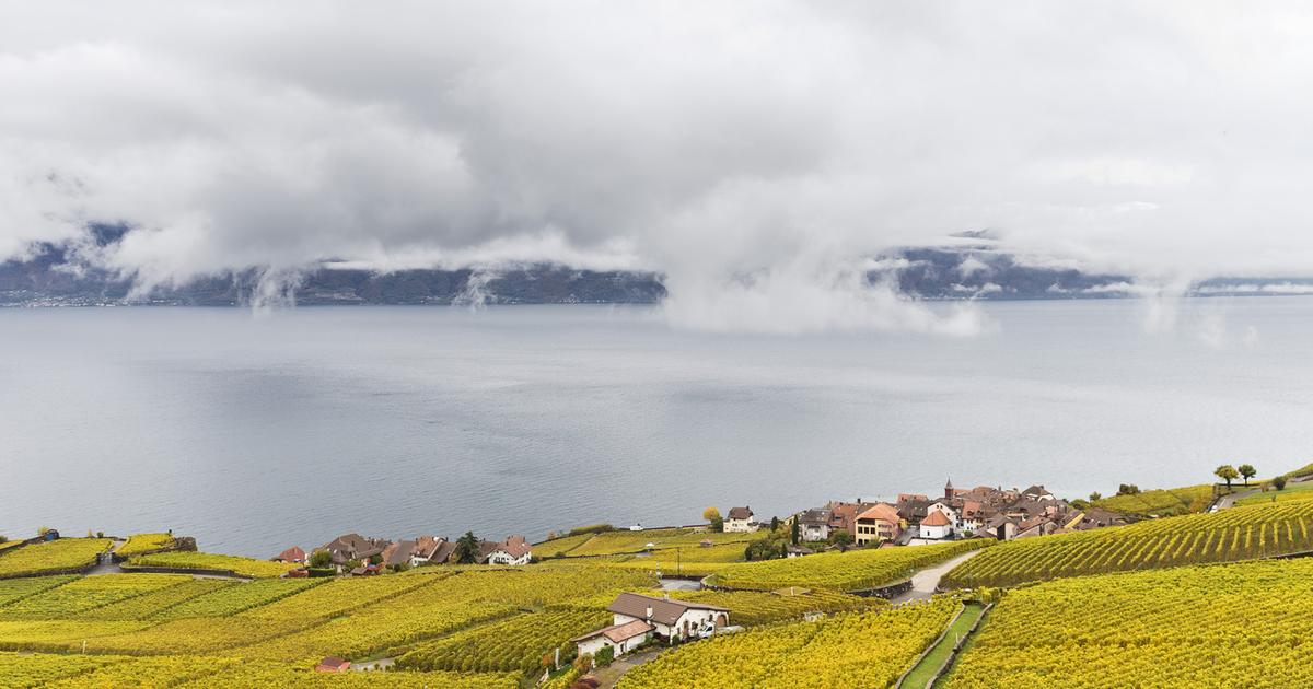 EPFL launches joint project to assess the condition of Lake Geneva – rts.ch