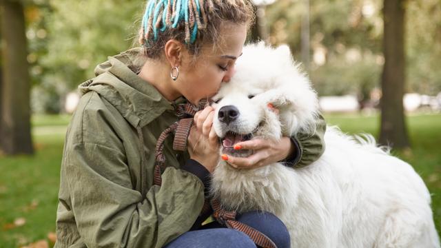 Pourquoi la relation qui se tissent entre les humains et les chiens est-elle si puissante? [Depositphotos - sky_dog]