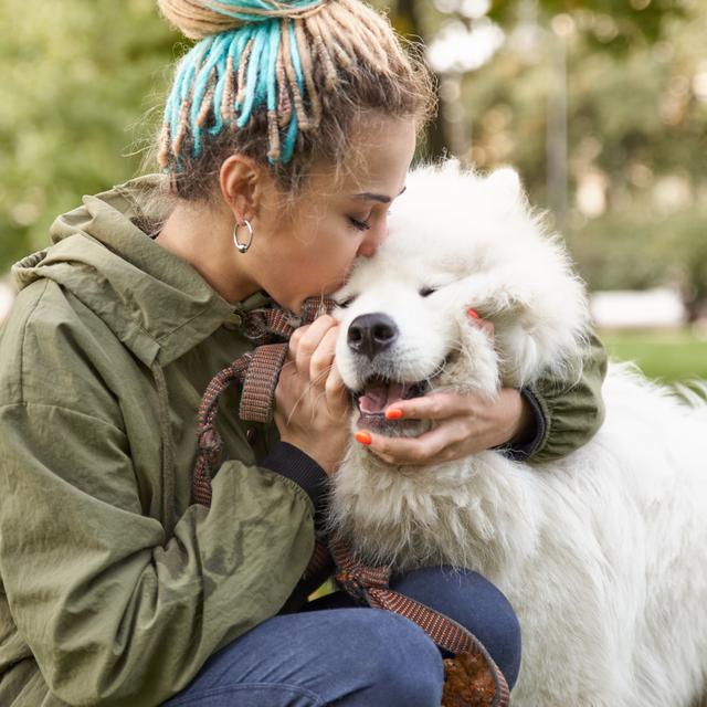 Pourquoi la relation qui se tissent entre les humains et les chiens est-elle si puissante? [Depositphotos - sky_dog]