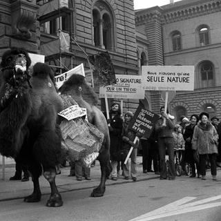 Le mouvement écologiste suisse plante ses racines jusqu'en 1970. [Keystone - Photopress-Archiv/Str]