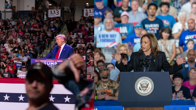 Donald Trump et Kamala Harris en campagne en Pennsylvanie.